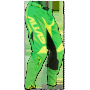 фото 1 Кросовий одяг Кросові штани Alias A1 Yellow-Neon Green 36