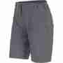 фото 1  Треккинговые шорти женские Salewa Fanes Seura 2 Dry W Shorts Grey 42 (36)