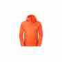 фото 1  Куртка туристическая The North Face Dnp Hoodie Orange XL
