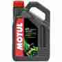 фото 1 Моторна олива і хімія Моторна олія Motul 5000 4T 10W-40 (4L)