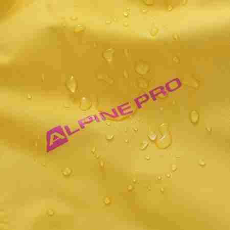 фото 4 Горнолыжные куртки Горнолыжная куртка женская Alpine Pro Tiva Yellow M