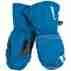 фото 2 Горнолыжные перчатки Горнолыжные перчатки детские Dakine Hornet Mitt Blue L (2017)