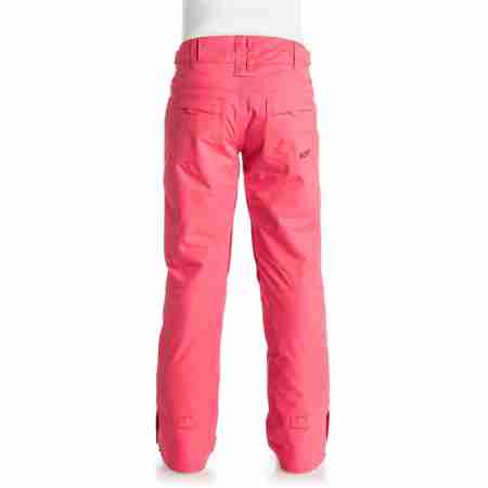 фото 4 Гірськолижні штани Сноубордичні штани жіночі Roxy Backyard Paradise Pink L