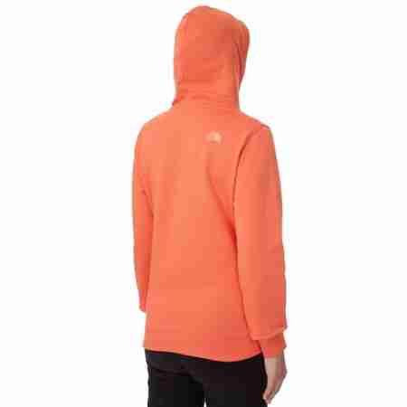 фото 4 Повседневная одежда и обувь Толстовка женская The North Face Open Gate Hoodie Light Emberglow Orange L