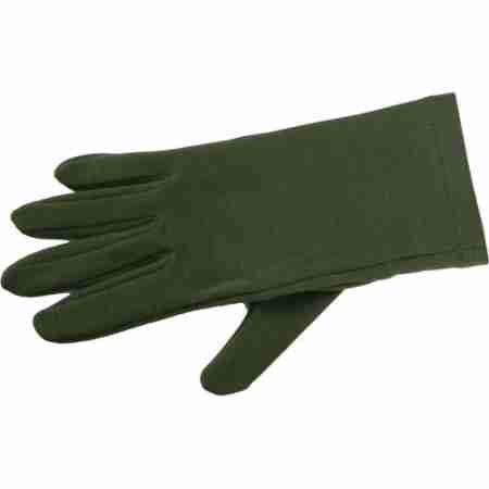 фото 1 Гірськолижні рукавички Гірськолижні рукавички Lasting Rok Green L/XL