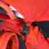 фото 6 Сумки і рюкзаки для зимового спорту Рюкзак Osprey Kamber 32 Ripcord Red M/L