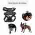 фото 6 Крепления для экшн-камер Набор креплений для экшн-камер AIRON ACS-3 на собак